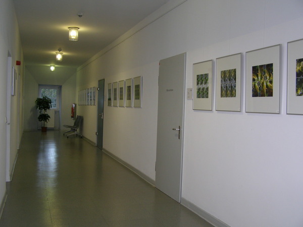 Foto-Tableaus im zweiten Obergeschoss